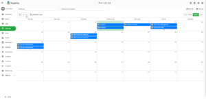 Calendar View